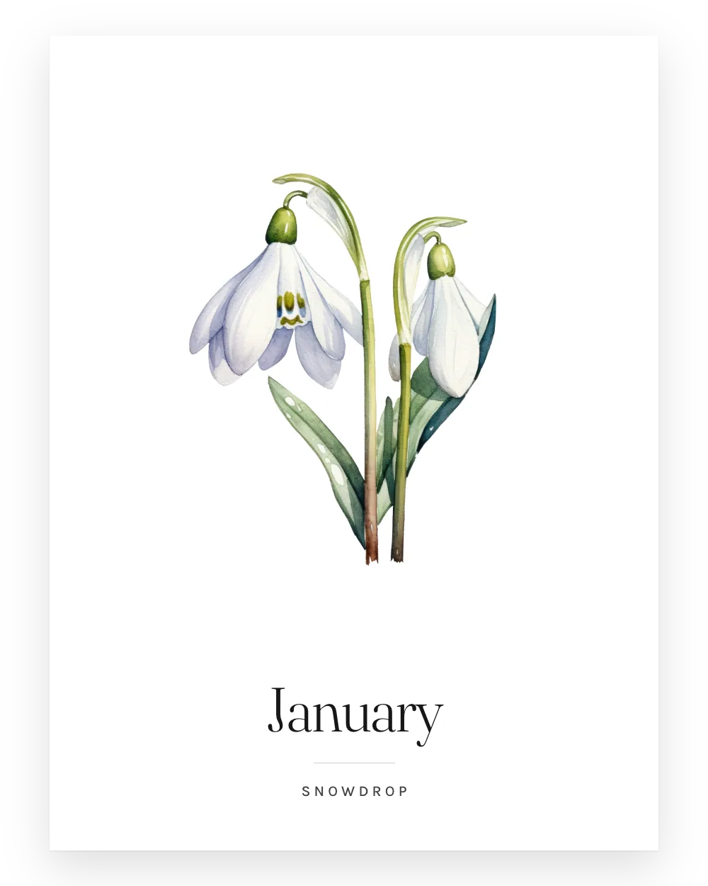 The January print: a watercolour snowdrop above the word January and the caption Snowdrop.