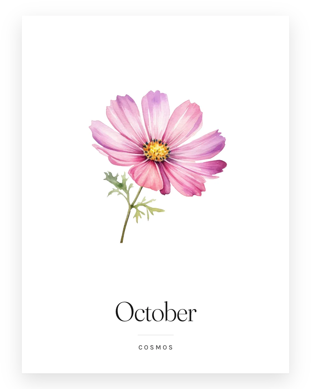 The October print: a watercolour cosmos above the word October and the caption Cosmos.