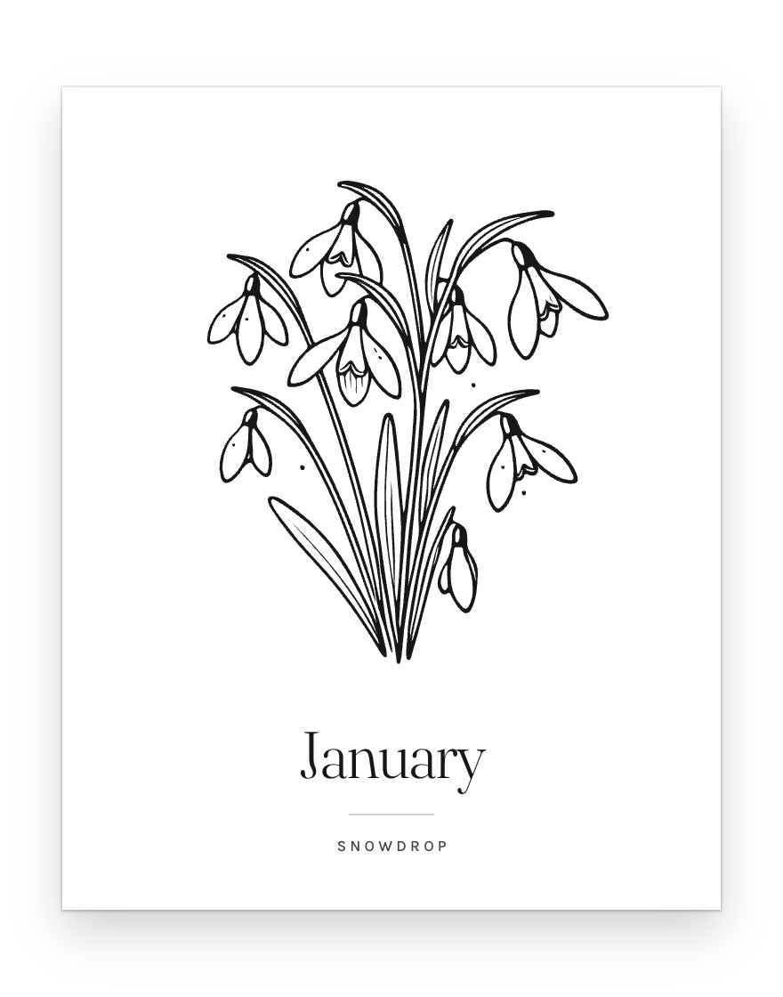 The January print — snowdrop