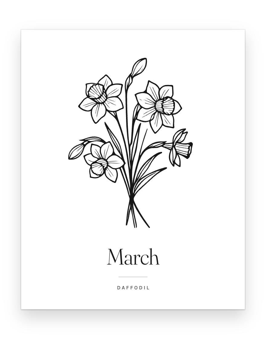 The March print — daffodil