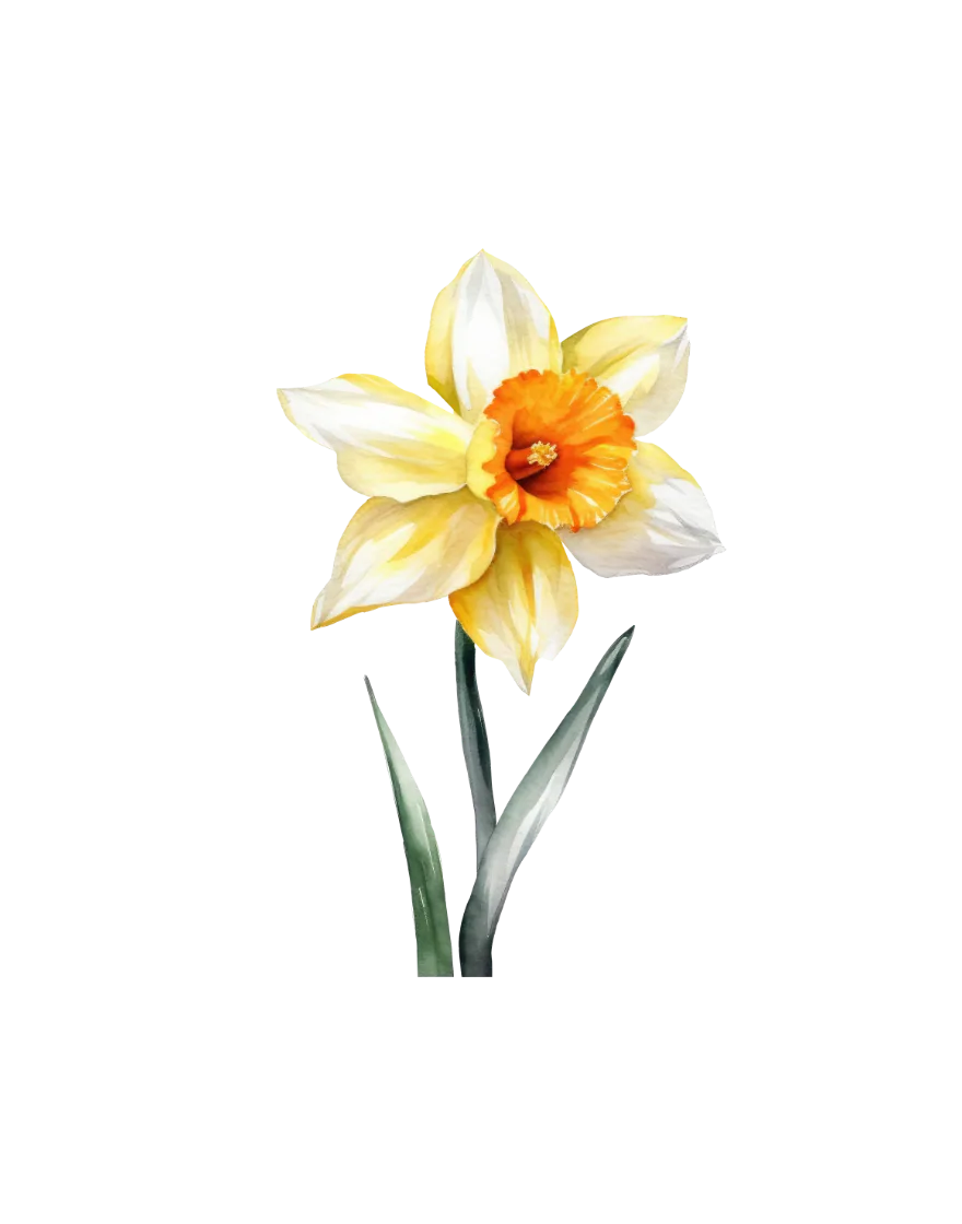 The March print — daffodil