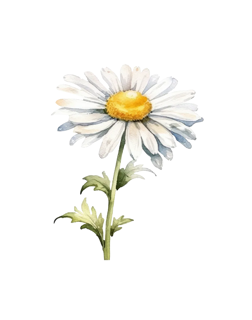 The April print — daisy
