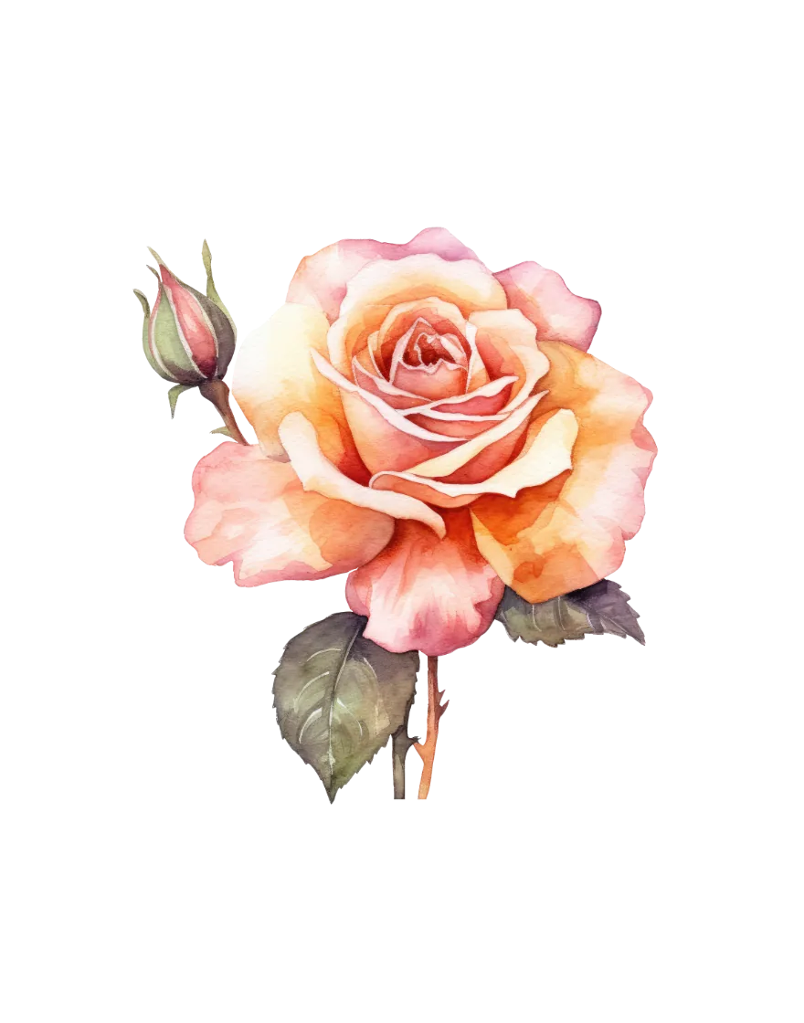 The June print — rose