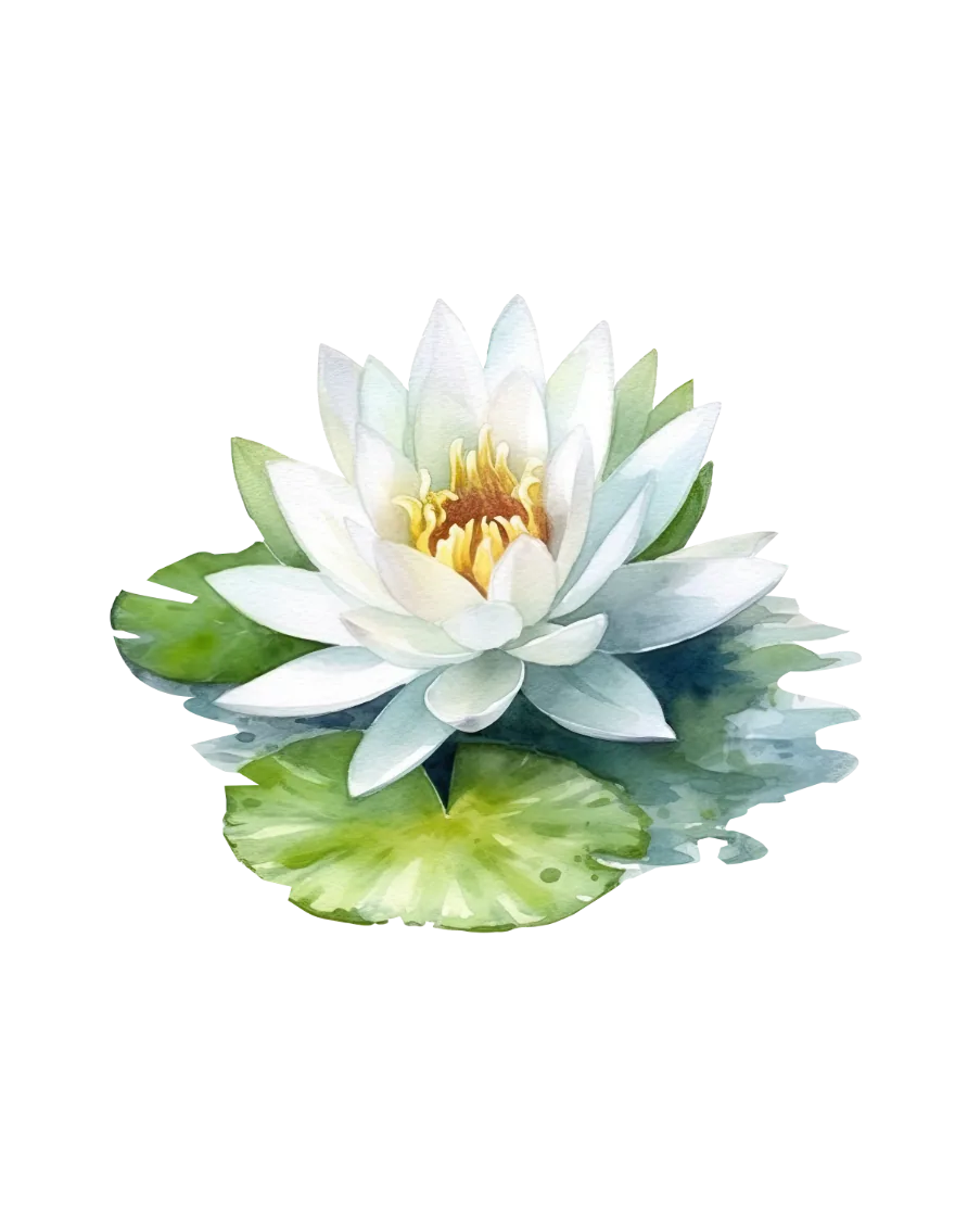 The July print — water lily