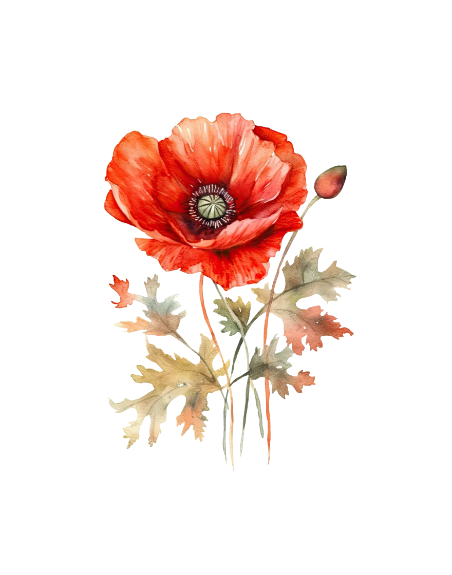 The August print — poppy