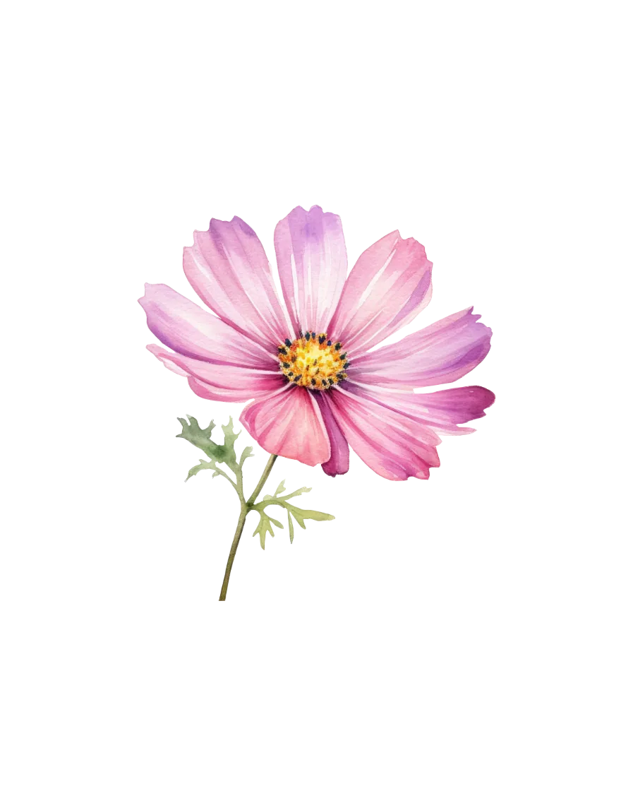 The October print — a watercolour cosmos.
