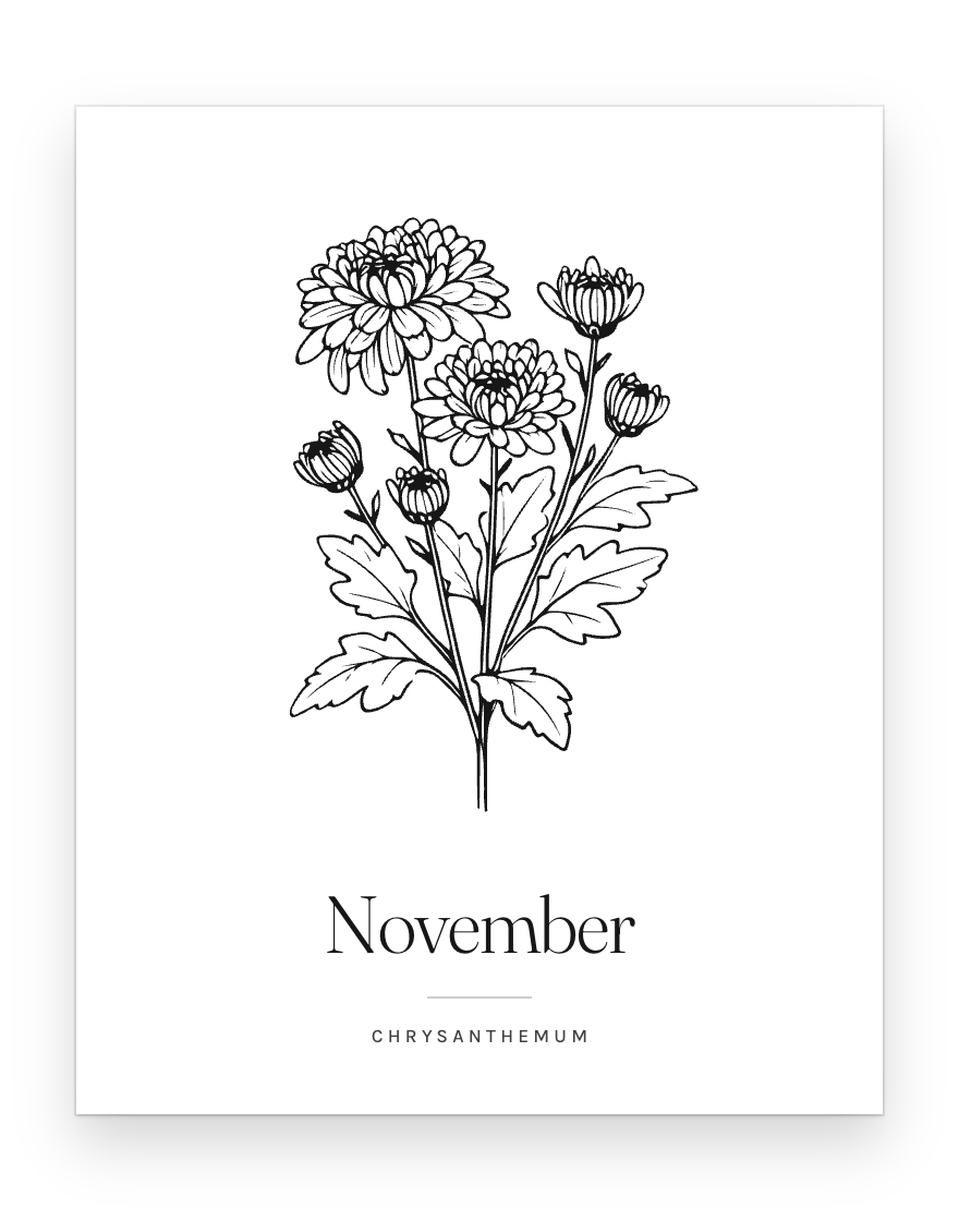 The November print — chrysanthemum
