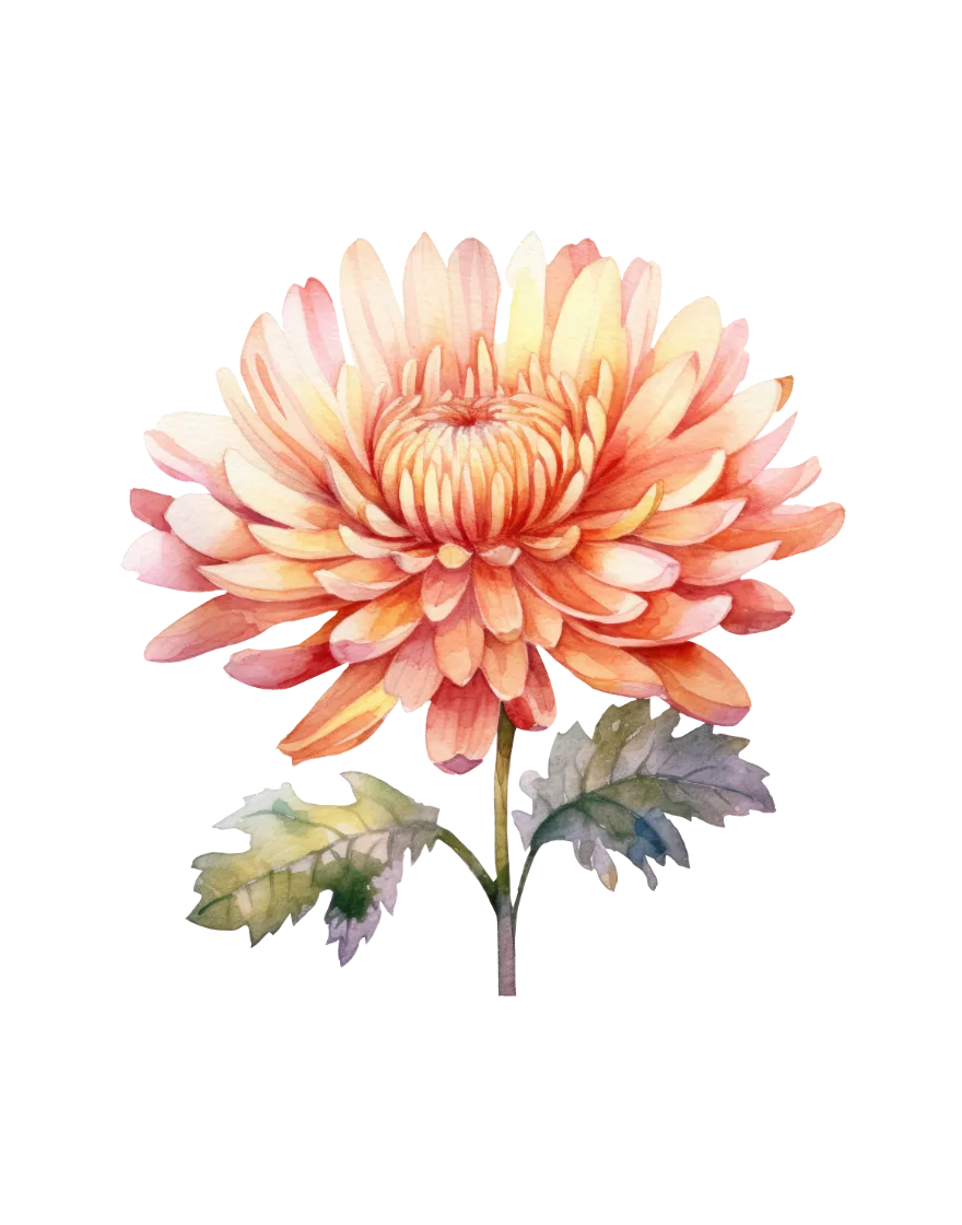 The November print — chrysanthemum