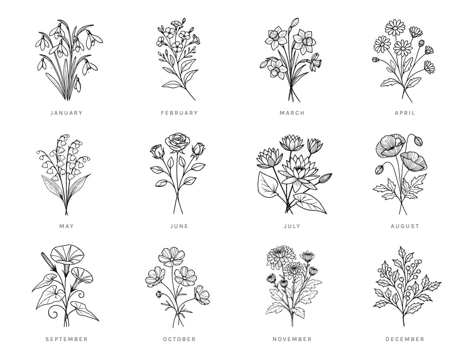 All twelve birth flowers in one grid: snowdrop, violet, daffodil, daisy, lily of the valley, rose, water lily, poppy, morning glory, cosmos, chrysanthemum and holly.